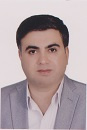 Amir Rajaei