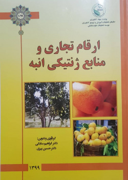 ارقام تجاری و منابع ژنتیکی انبه