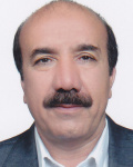 Hossein Shirkhani