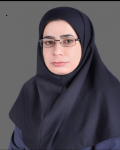 نصرت خاتون علوی ناهوکی