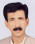 سعید دامنی